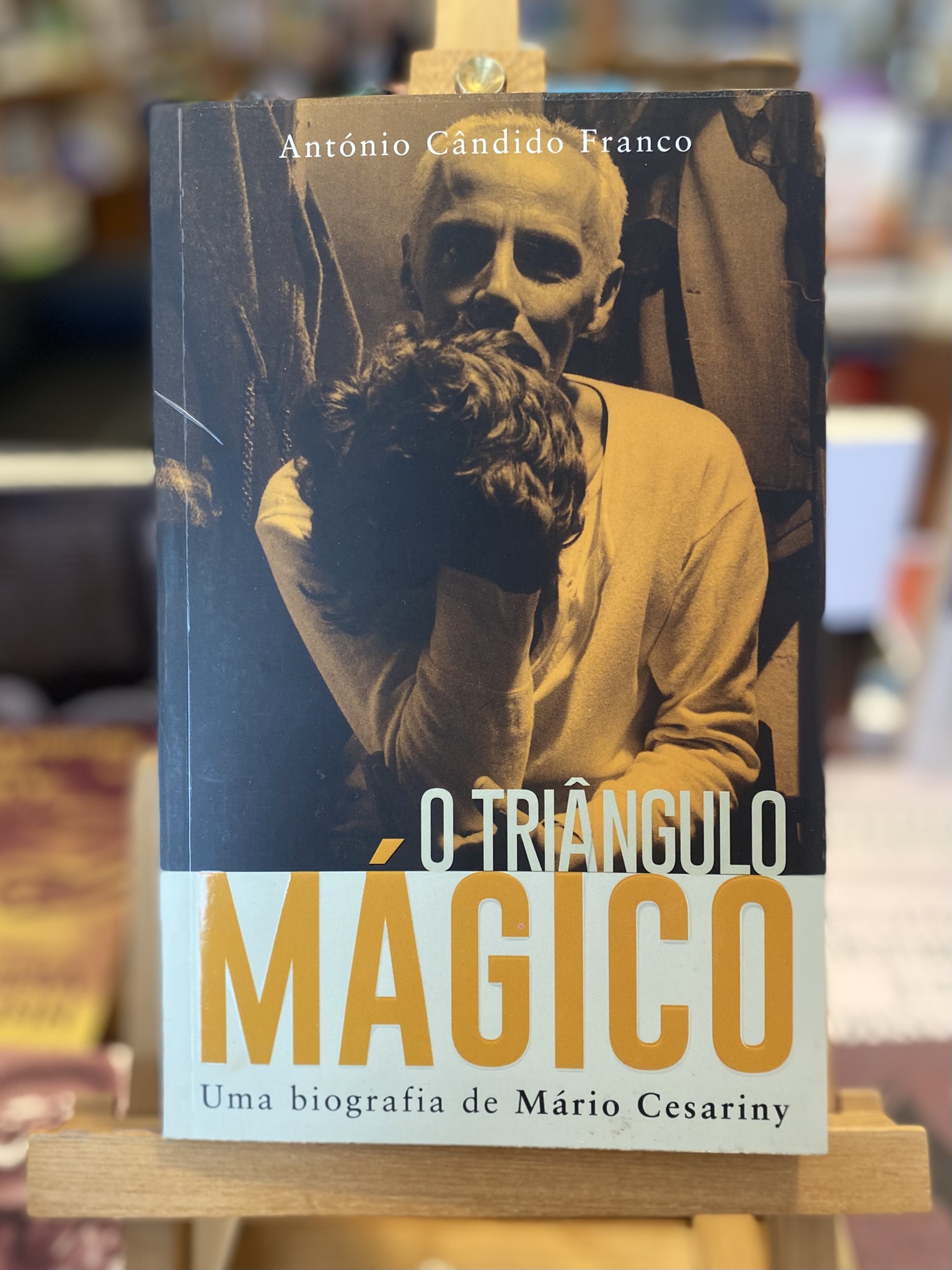 TRIÂNGULO MÁGICO, O - UMA BIOGRAFIA DE MÁRIO CESARINY